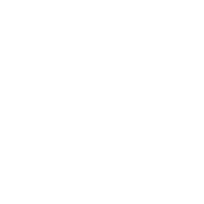世界品質
